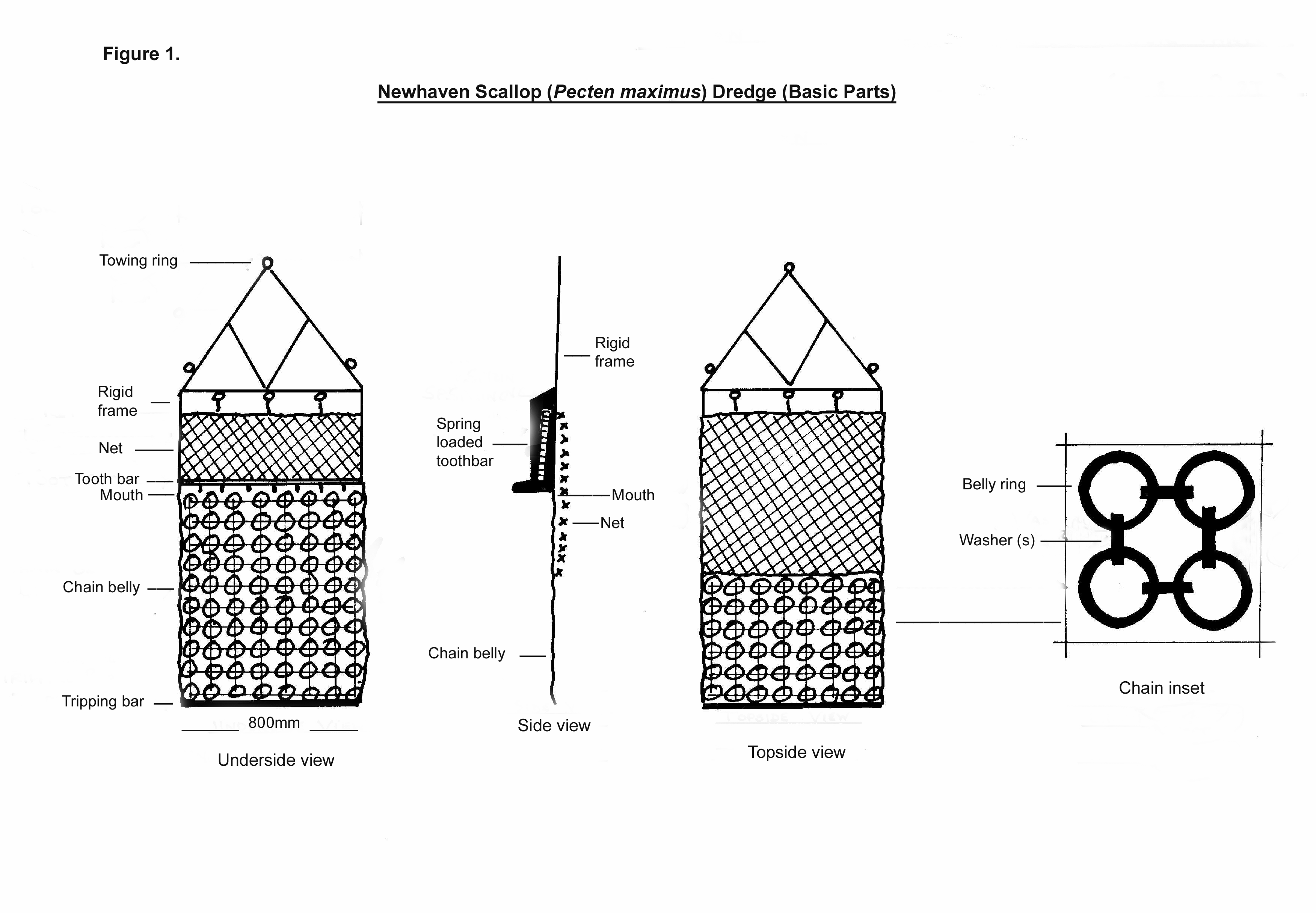 sea scallop dredge efficiency final report vims